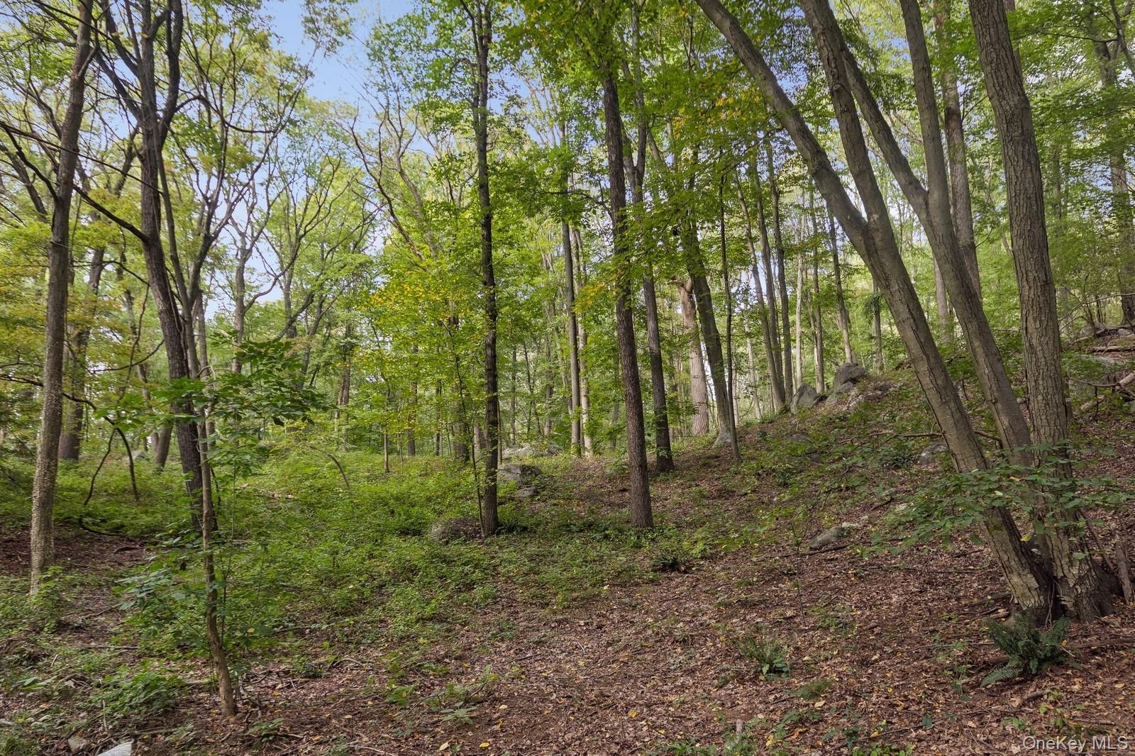 Tbd Rt-9d Garrison, NY 10524 - Photo 5 of 12 View of wooded area