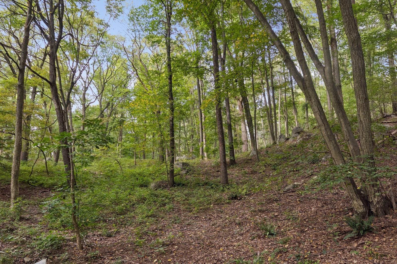 Tbd Rt-9d Garrison, NY 10524 - Photo 5 of 12 a backyard of a house with lots of green space