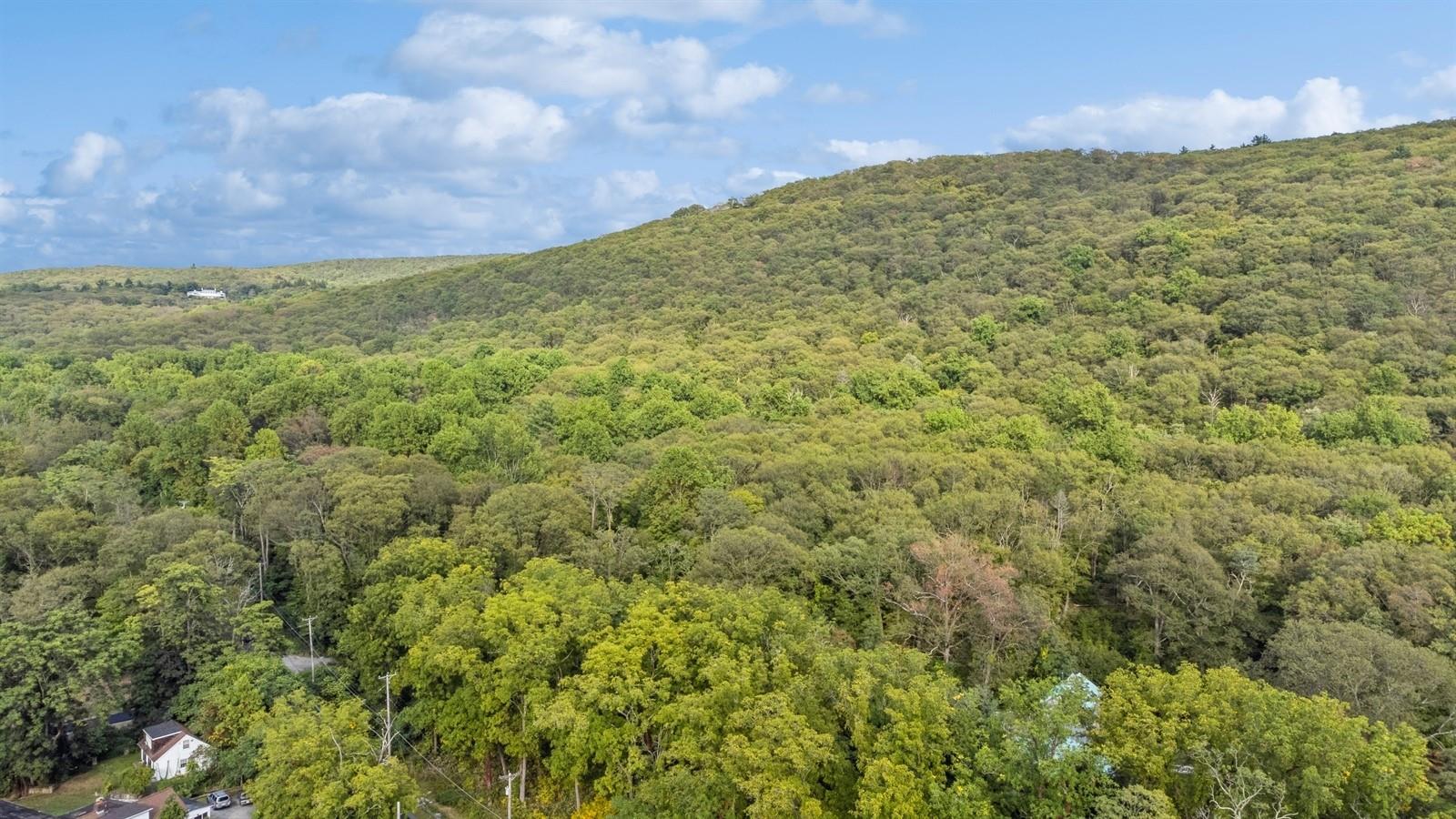Tbd Rt-9d Garrison, NY 10524 - Photo 8 of 12 a view of a yard with an trees