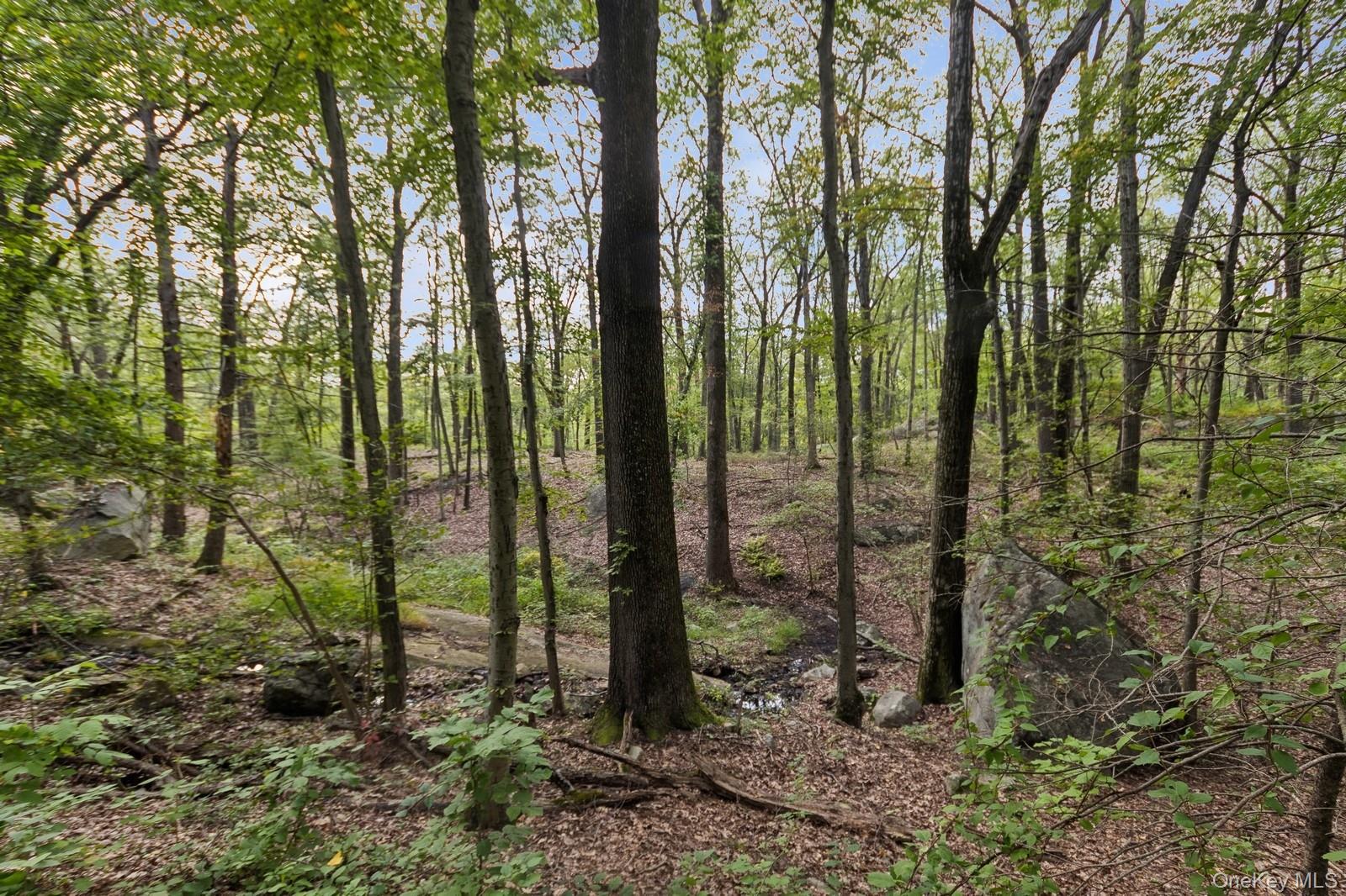 Tbd Rt-9d Garrison, NY 10524 - Photo 10 of 12 View of undeveloped land