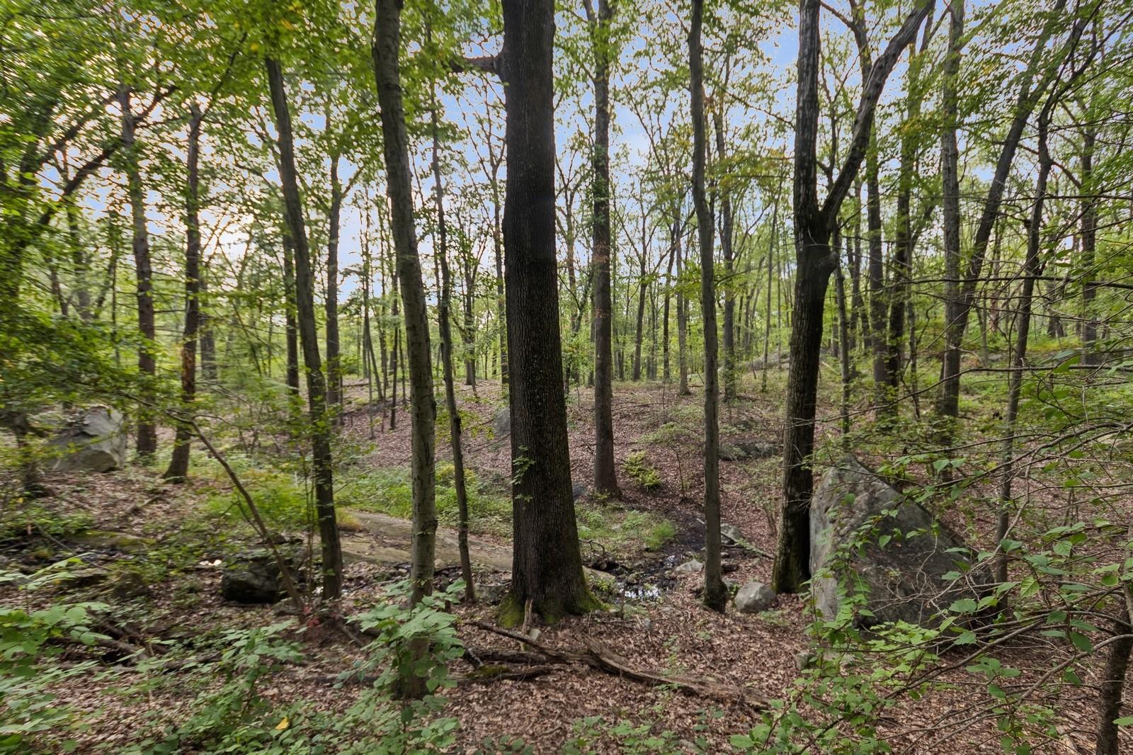 Tbd Rt-9d Garrison, NY 10524 - Photo 10 of 12 a view of outdoor space and green space