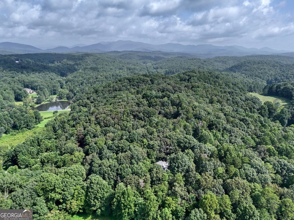45 K D Lane Ellijay, GA 30540 - Photo 47 of 48