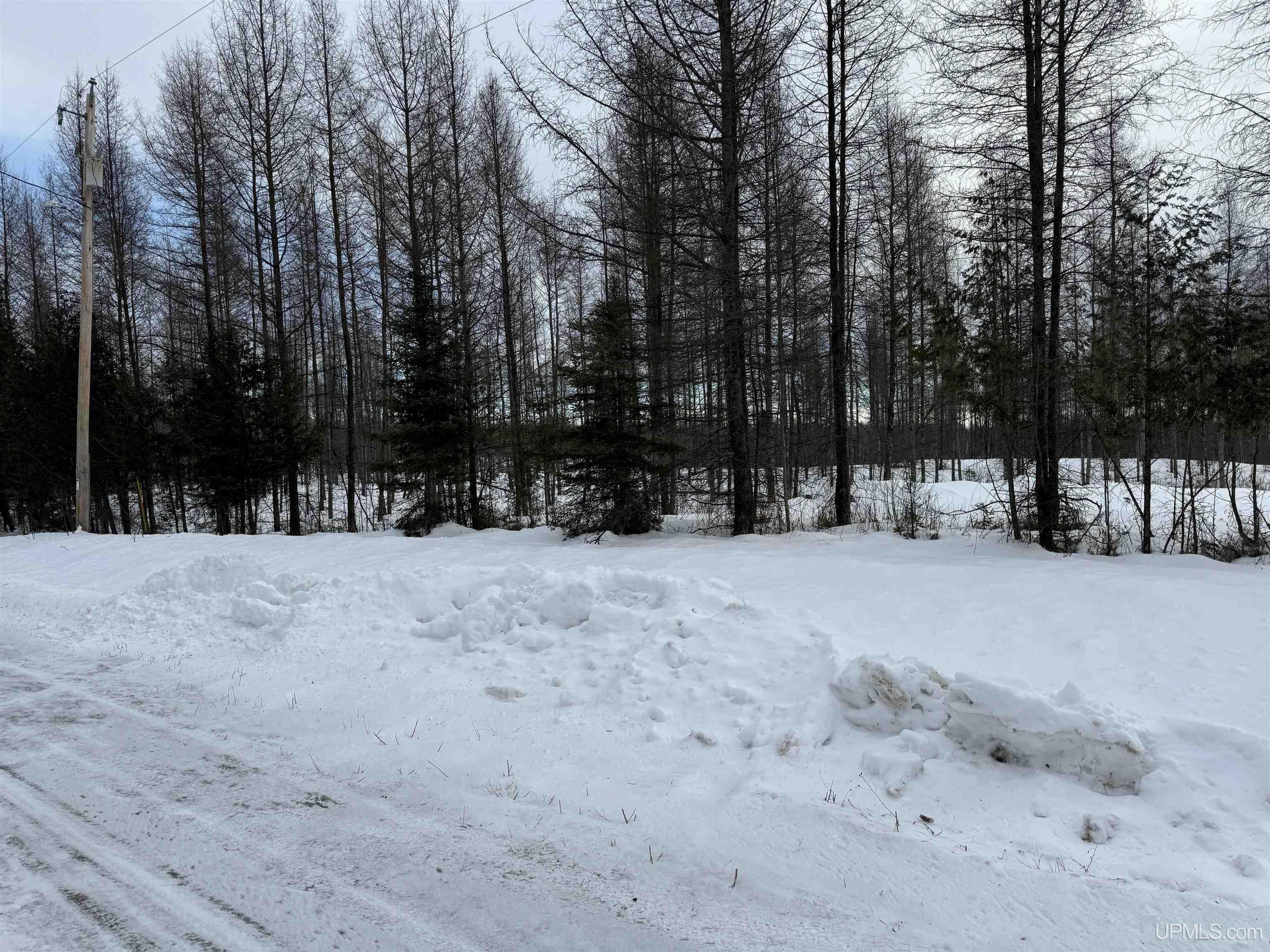 Tbd Cr 400 Parcel B Road Perronville, MI 49873 - Photo 10 of 16
