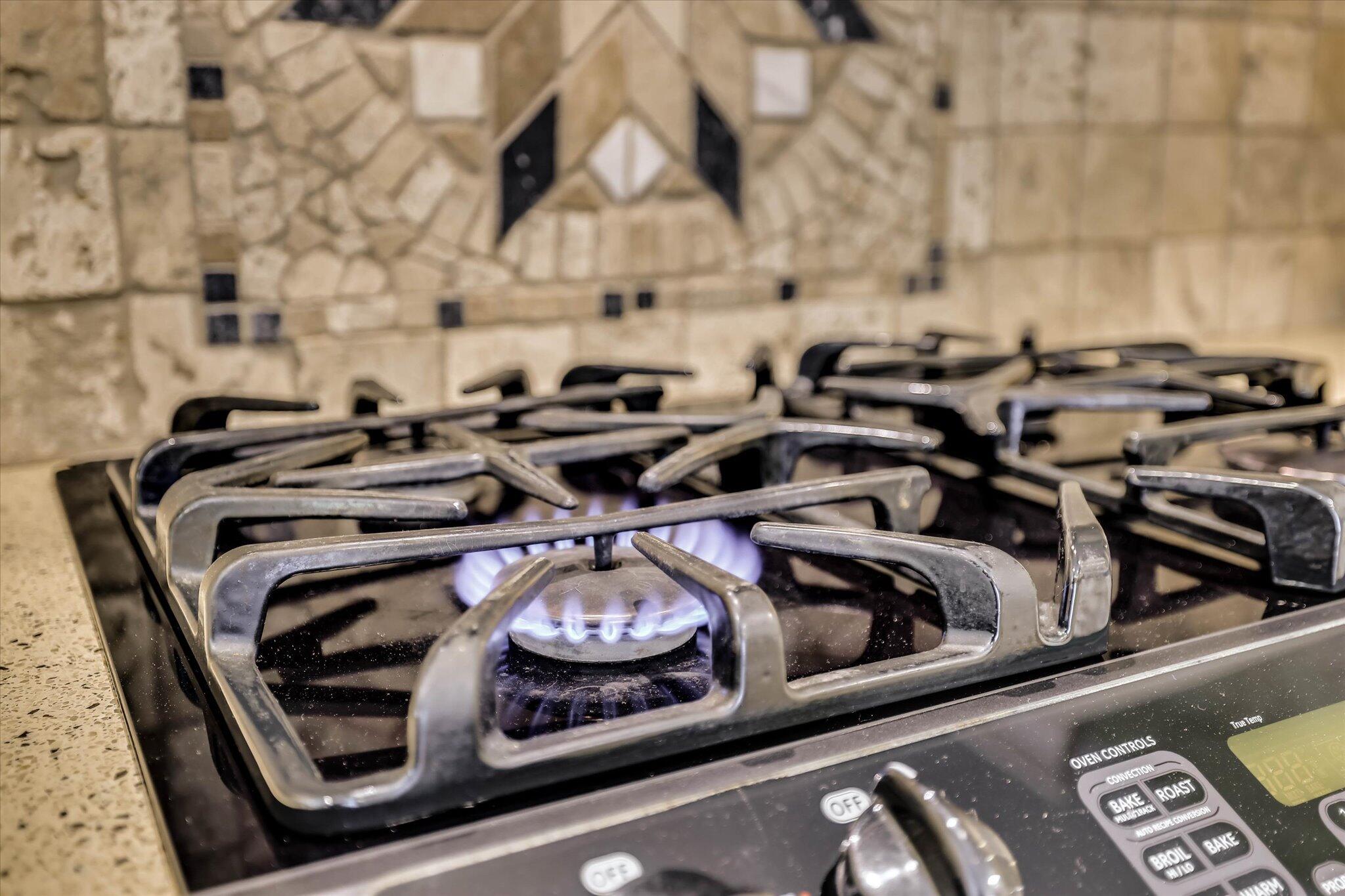 613 Heritage Cove McCormick, SC 29835 - Photo 26 of 59 01-101