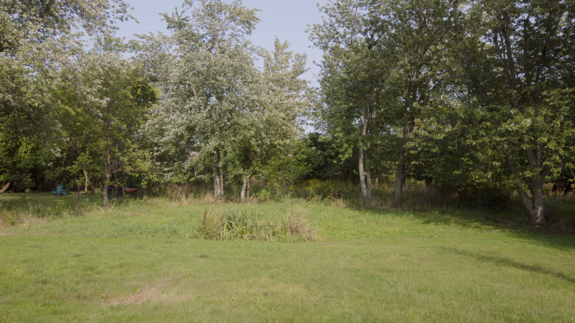 1809 Winnetka Road Northfield, IL 60093 - Photo 3 of 27 a view of lake background with residential houses