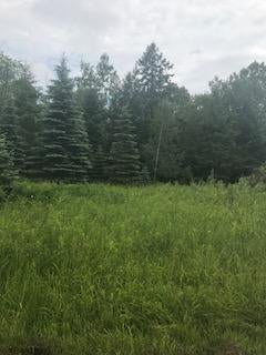 16125 Reider School Road Lachine, MI 49753 - Photo 41 of 44 Gallery Image 41