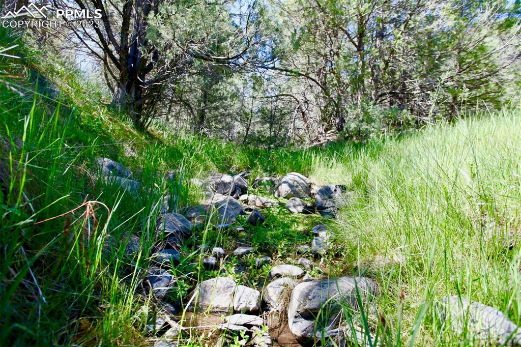 1001 Three Streams Road Howard, CO 81233 - Photo 46 of 49