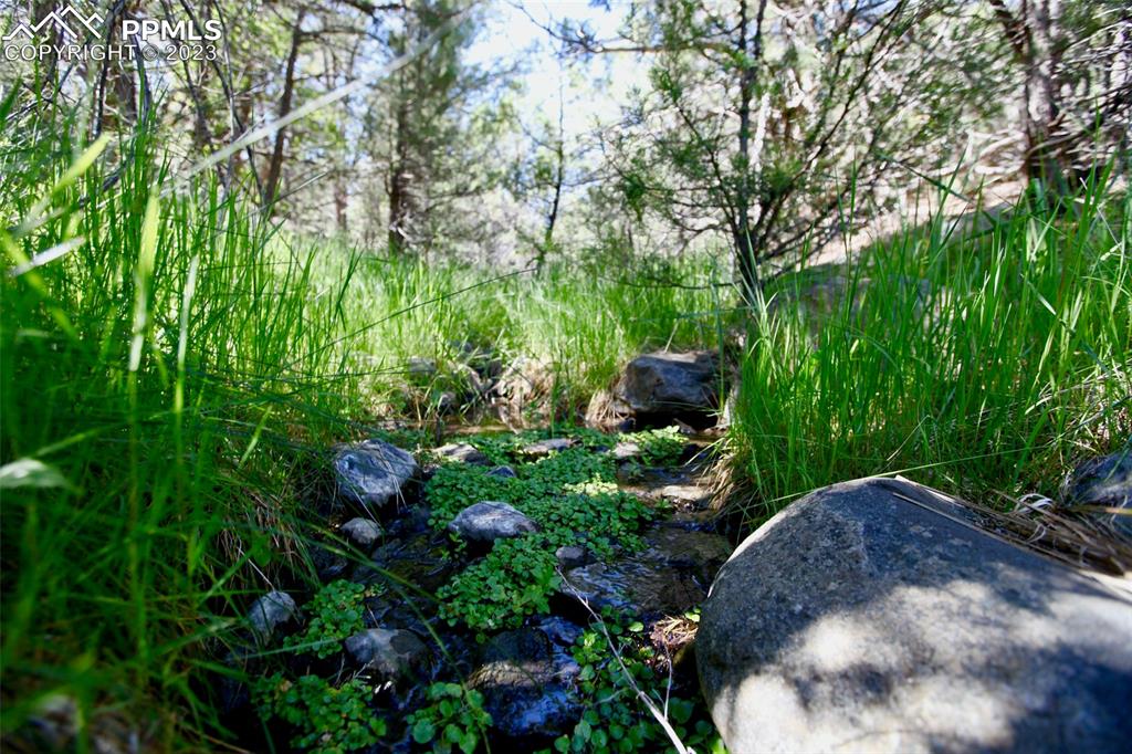 1001 Three Streams Road Howard, CO 81233 - Photo 47 of 49 a backyard of a house with lots of green space