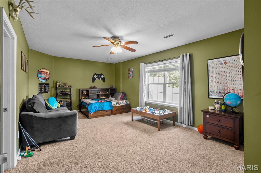 2751 Carter Route Ellsinore, MO 63937 - Photo 39 of 69