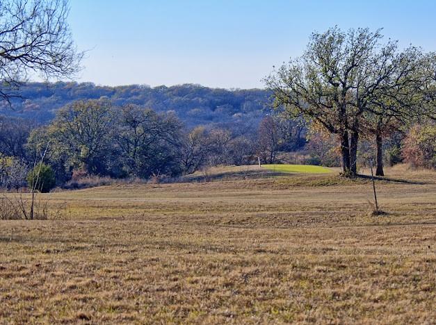 141 Diamond Oaks Drive Nocona, TX 76255 - Photo 2 of 16 a view of outdoor space with mountain view