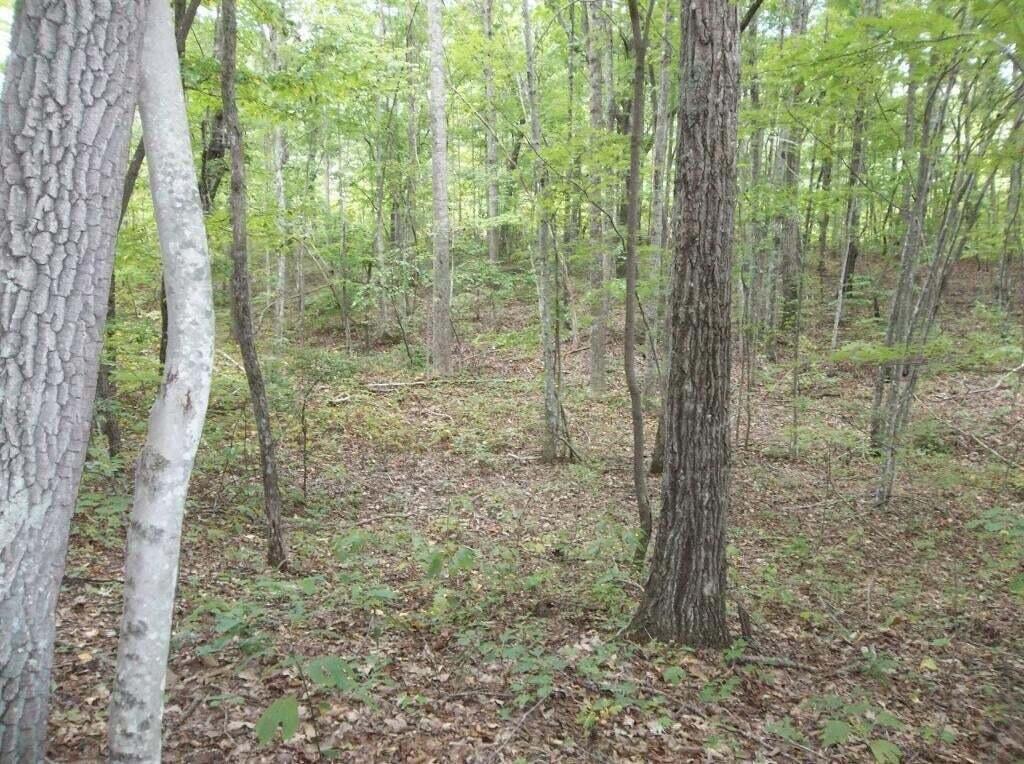 2 Grapevine Road, Unit 25 Crossville, TN 38572 - Photo 1 of 13 G