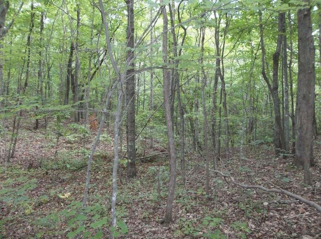 2 Grapevine Road, Unit 25 Crossville, TN 38572 - Photo 3 of 13 e