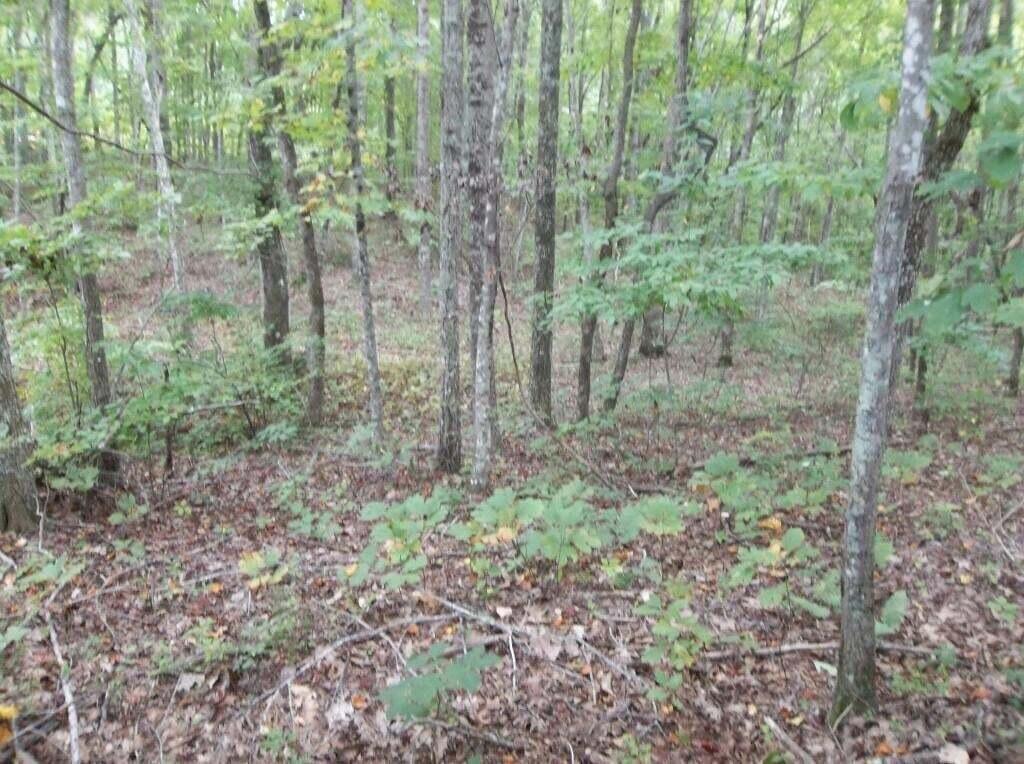 2 Grapevine Road, Unit 25 Crossville, TN 38572 - Photo 6 of 13 grape