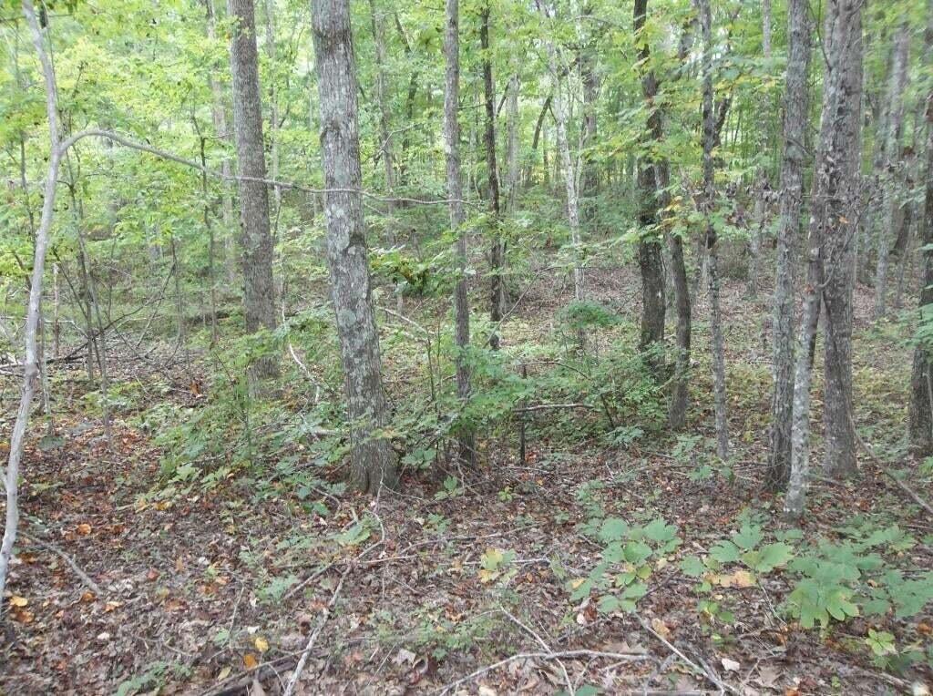 2 Grapevine Road, Unit 25 Crossville, TN 38572 - Photo 7 of 13 grapev