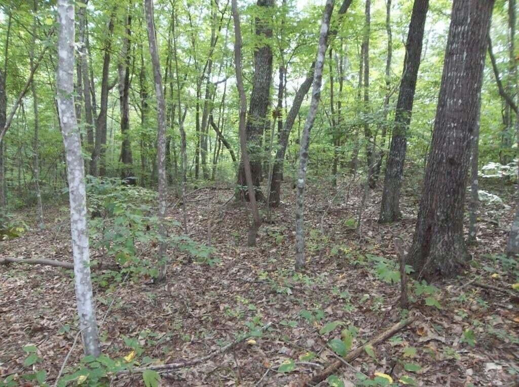 2 Grapevine Road, Unit 25 Crossville, TN 38572 - Photo 8 of 13 grapevi