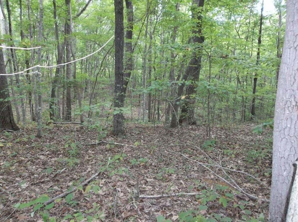 2 Grapevine Road, Unit 25 Crossville, TN 38572 - Photo 9 of 13 grapevin