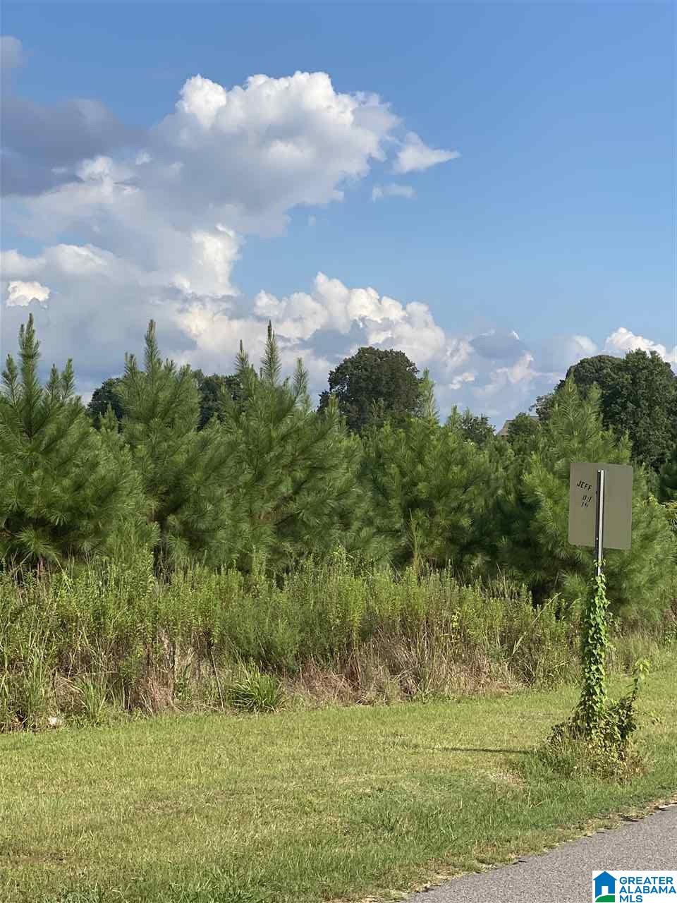 Corner School Road Warrior, AL 35180 - Photo 10 of 11