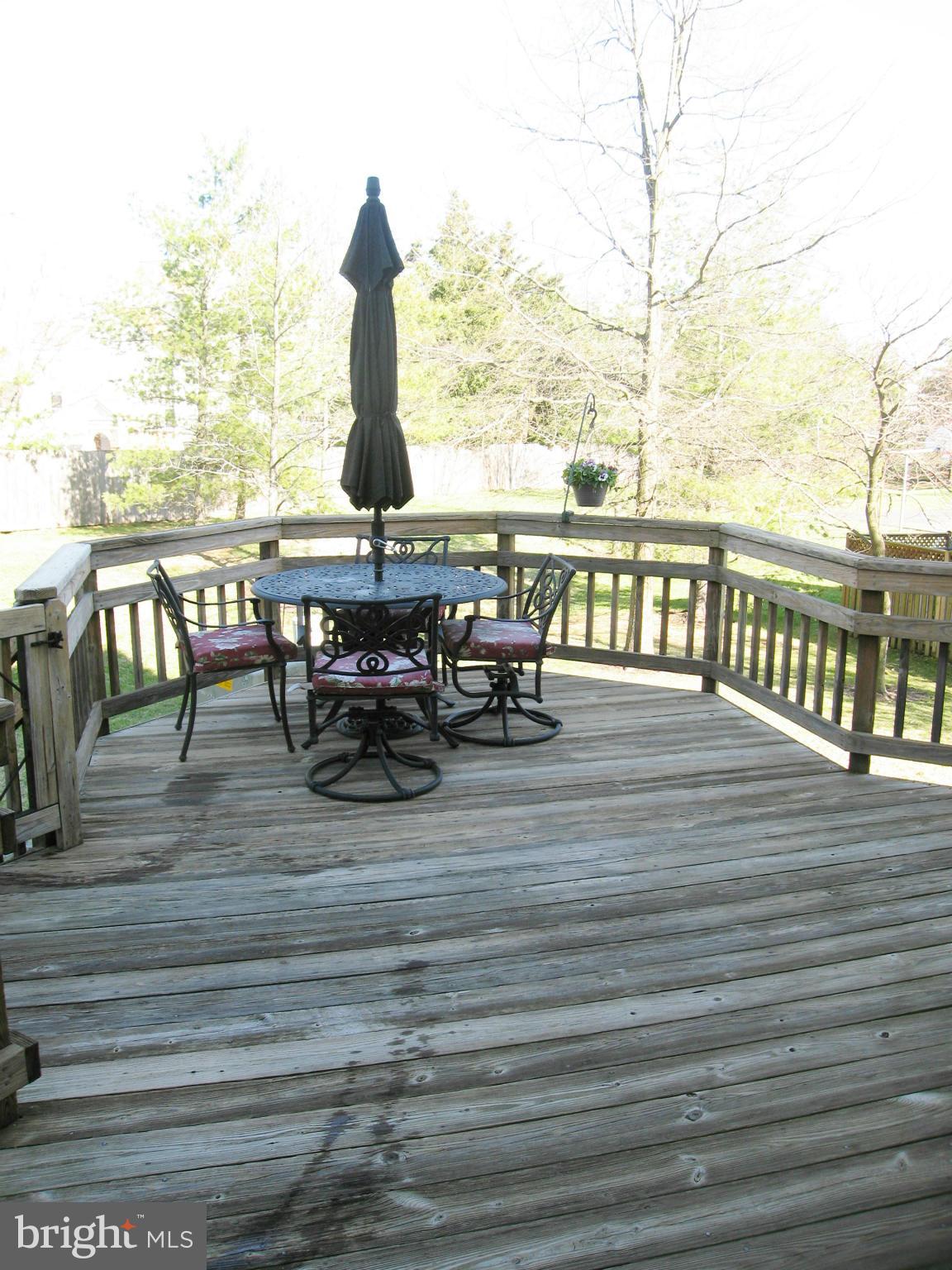 6009 Bingley Road Alexandria, VA 22315 - Photo 21 of 30 Large Deck Great for Entertaining