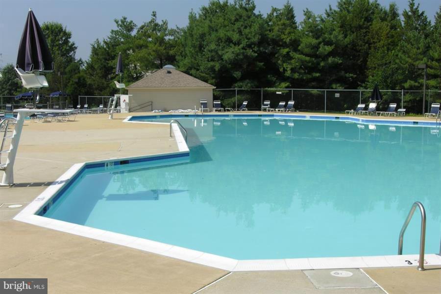 6009 Bingley Road Alexandria, VA 22315 - Photo 24 of 30 Community Pool