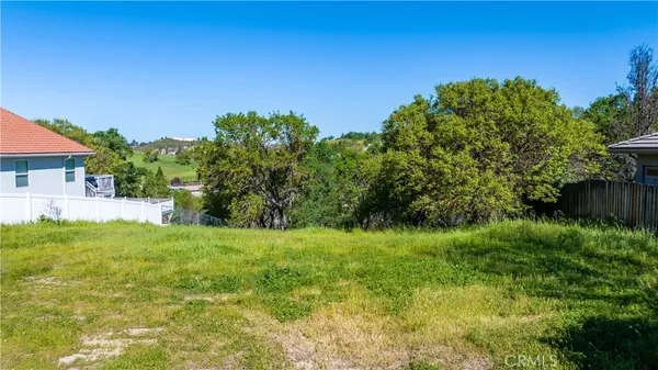 a view of a big yard with plants and a large tree