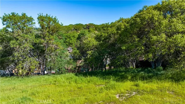 a view of a garden