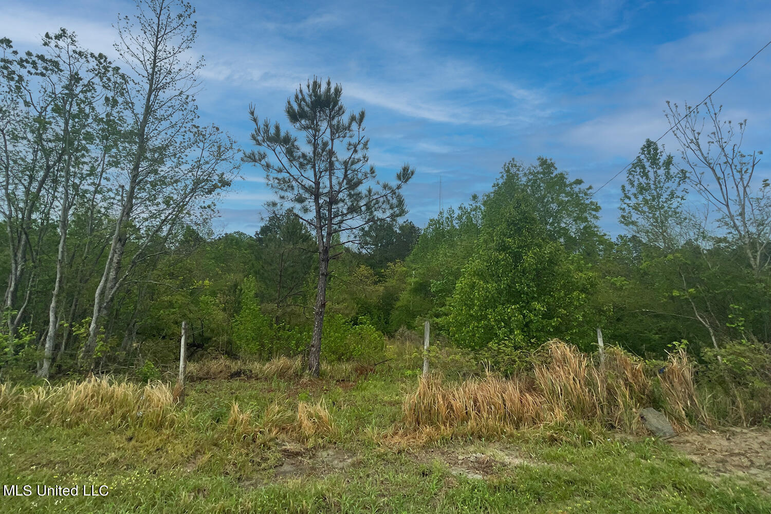 149 Scott Road Lucedale, MS 39452 - Photo 32 of 35 5 (1)