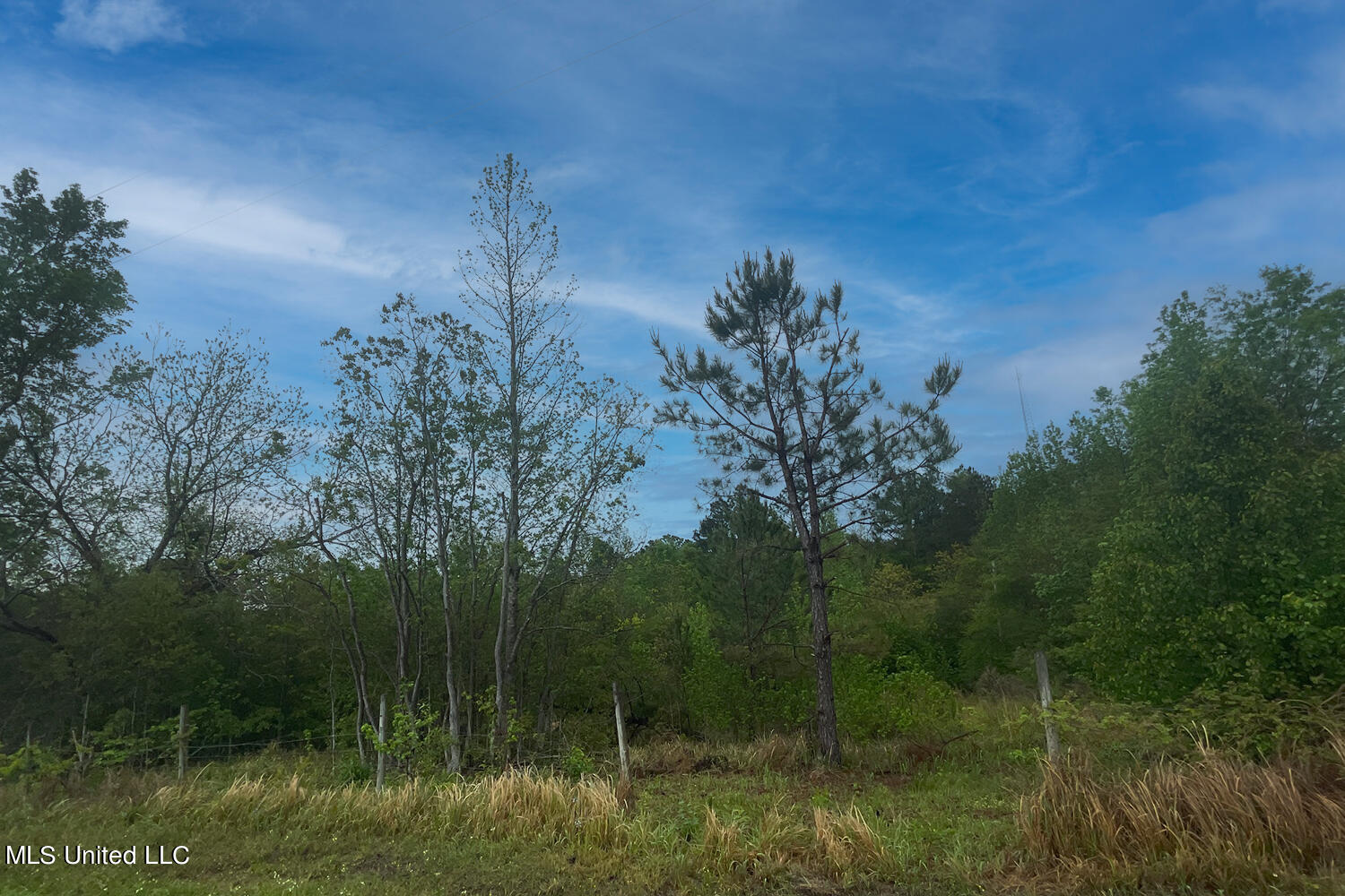149 Scott Road Lucedale, MS 39452 - Photo 33 of 35 5 (2)