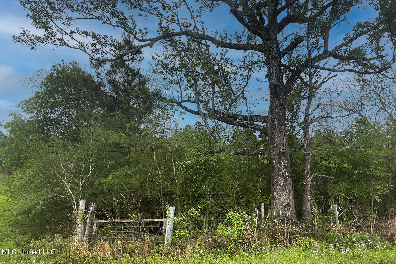 149 Scott Road Lucedale, MS 39452 - Photo 34 of 35 5 (3)