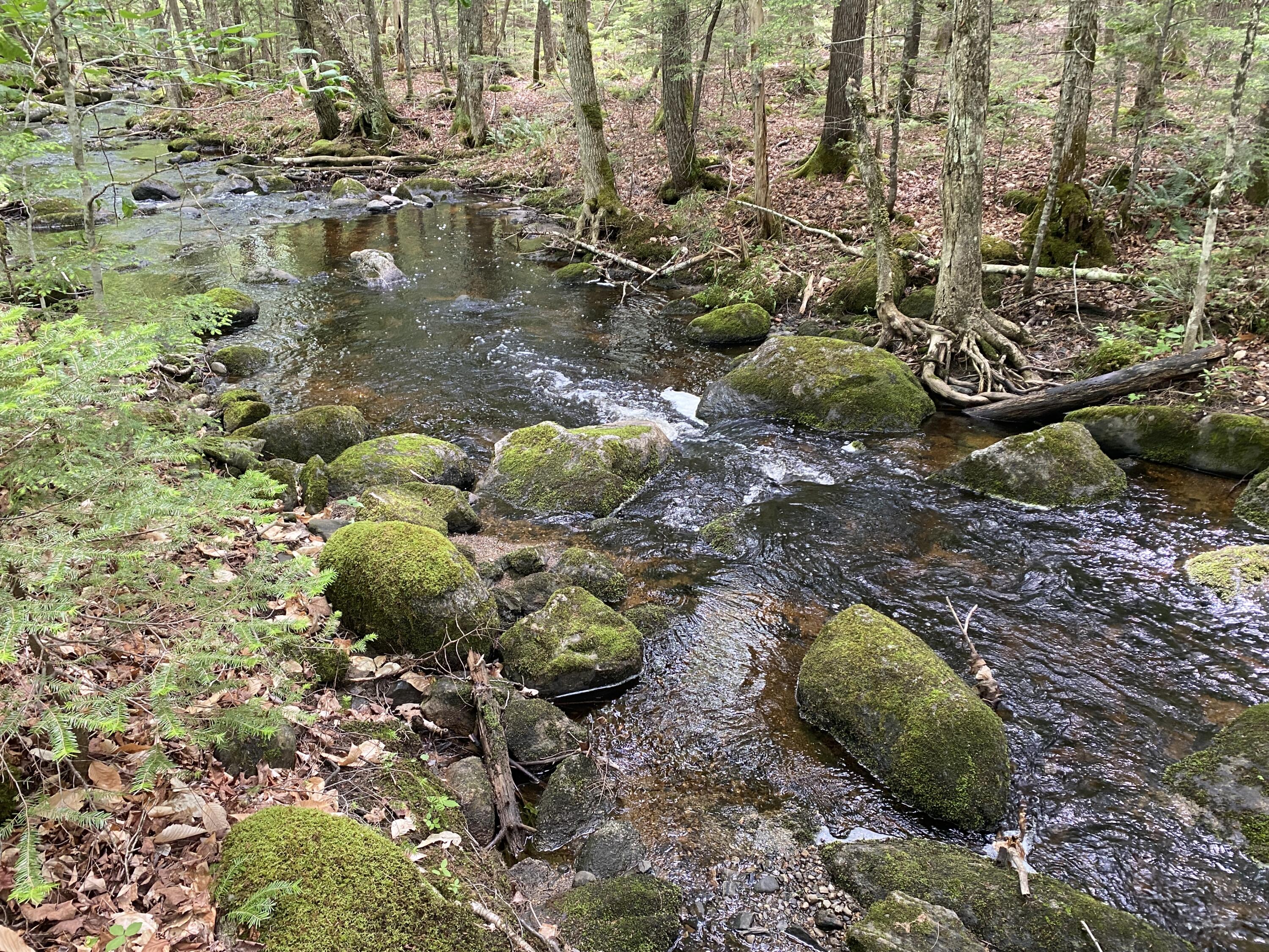 783 Half Township Road Lincoln, ME 04457 - Photo 2 of 24 IMG_2