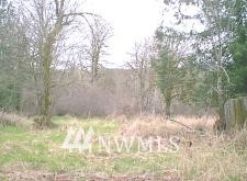 1930 West Beeville Loop Road Matlock, WA 98560 - Photo 1 of 1 Gallery Image 1