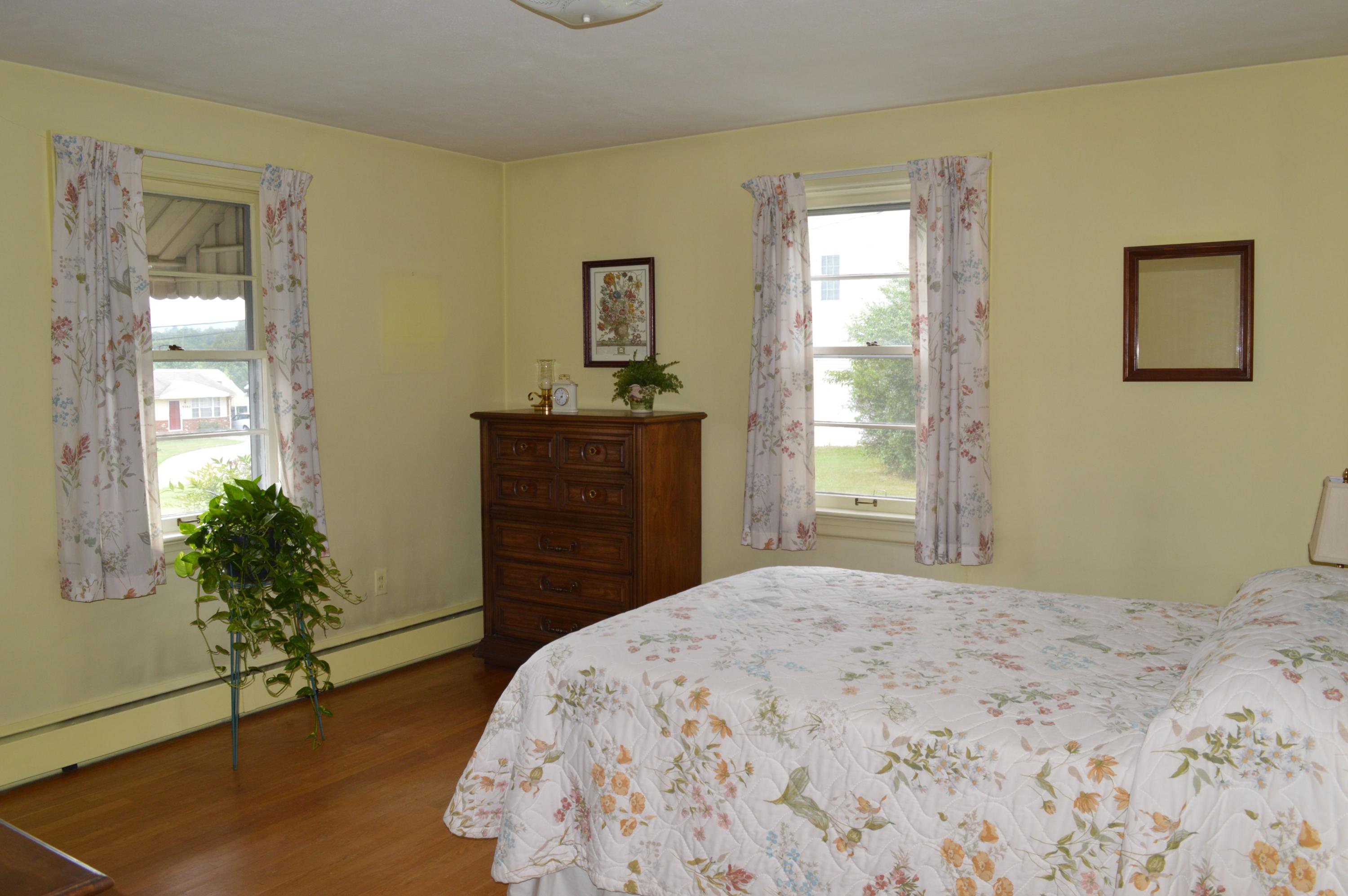 5527 Cove Road Roanoke, VA 24019 - Photo 27 of 39 a bedroom with a bed and a potted plant