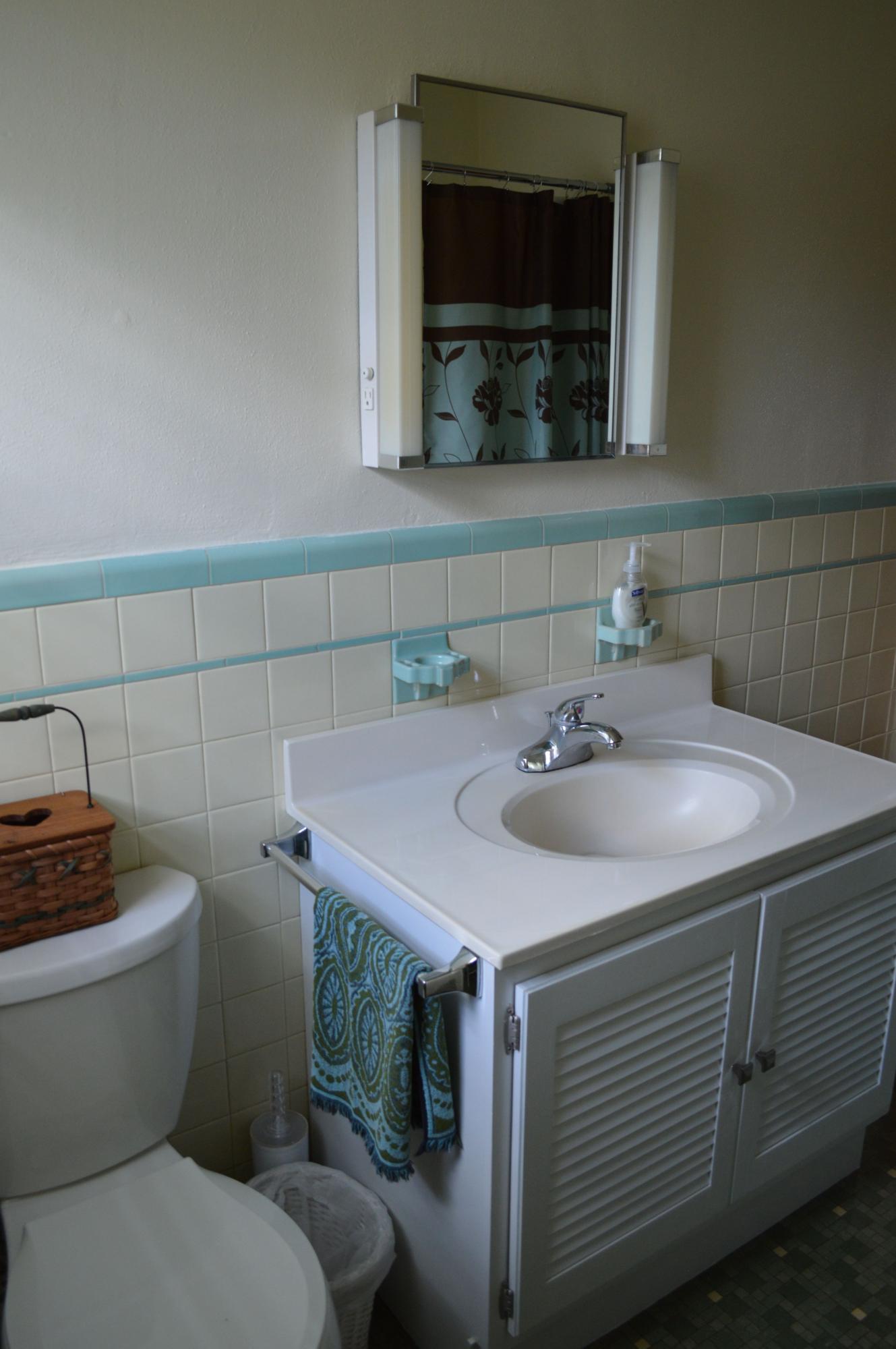 5527 Cove Road Roanoke, VA 24019 - Photo 28 of 39 a bathroom with a sink and a toilet