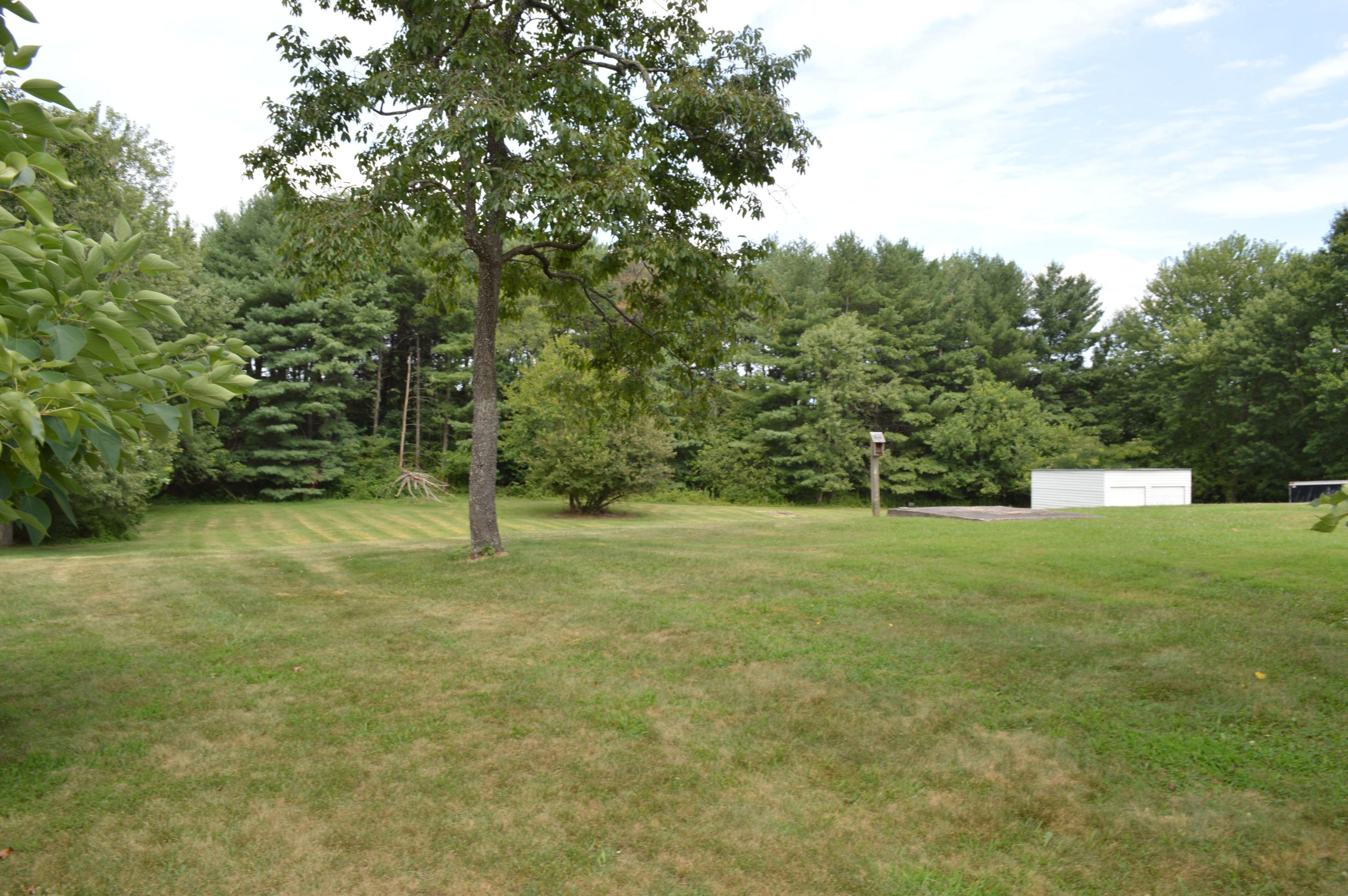 5527 Cove Road Roanoke, VA 24019 - Photo 8 of 39 a view of a trees with a yard