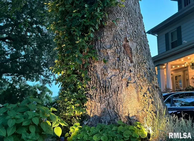 $147,500 | 1617 South Lincoln Avenue, Springfield, IL 62704