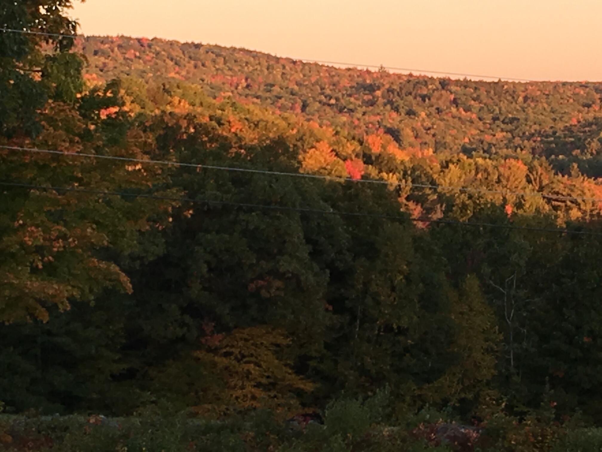 660 Paris Hill Road Buckfield, ME 04220 - Photo 55 of 63 IMG_0003
