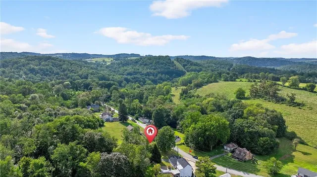 a view of a lush green forest with mountains in the background