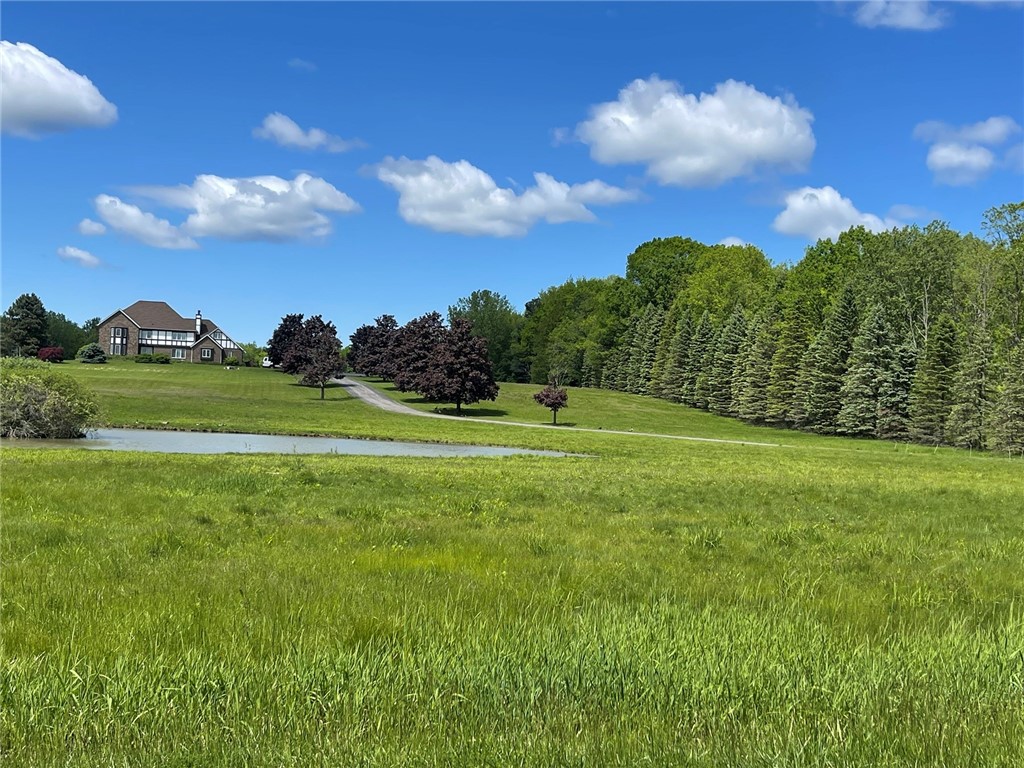 817 Whittier Road Ogden, NY 14559 - Photo 41 of 48 Yard