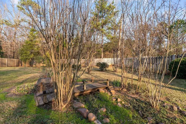 a view of backyard with green space