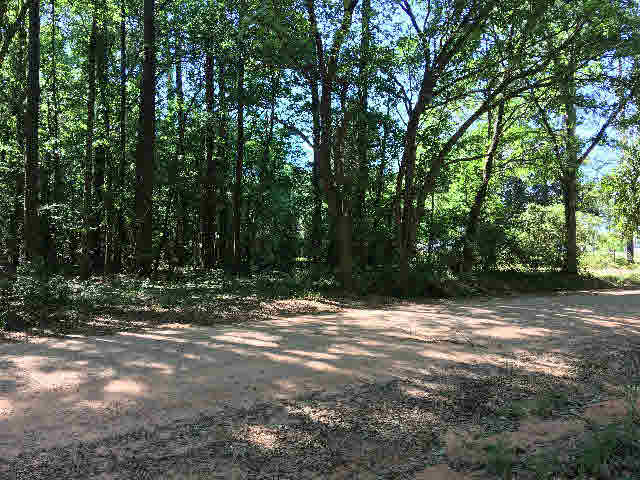 14839 Juniper Street North Foley, AL 36535 - Photo 1 of 4