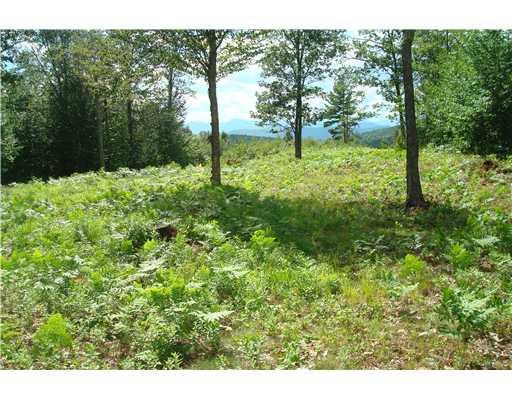 40 Stevens Road Stoneham, ME 04231 - Photo 2 of 6 Land.