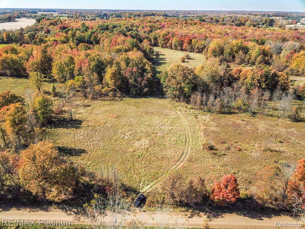 9463 Stow Road Webberville, MI 48892 - Photo 2 of 17