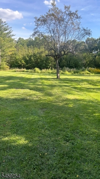 444 Garretson Road Bridgewater, NJ 08807 - Photo 2 of 5 Gallery Image 2
