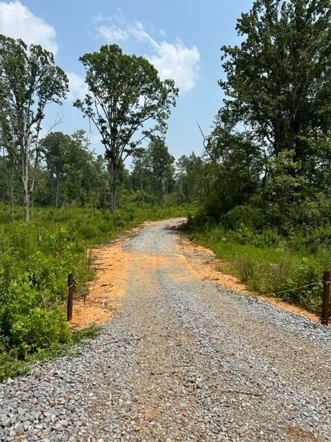 100 River Road Decatur, TN 37322 - Photo 9 of 11 Gallery Image 9