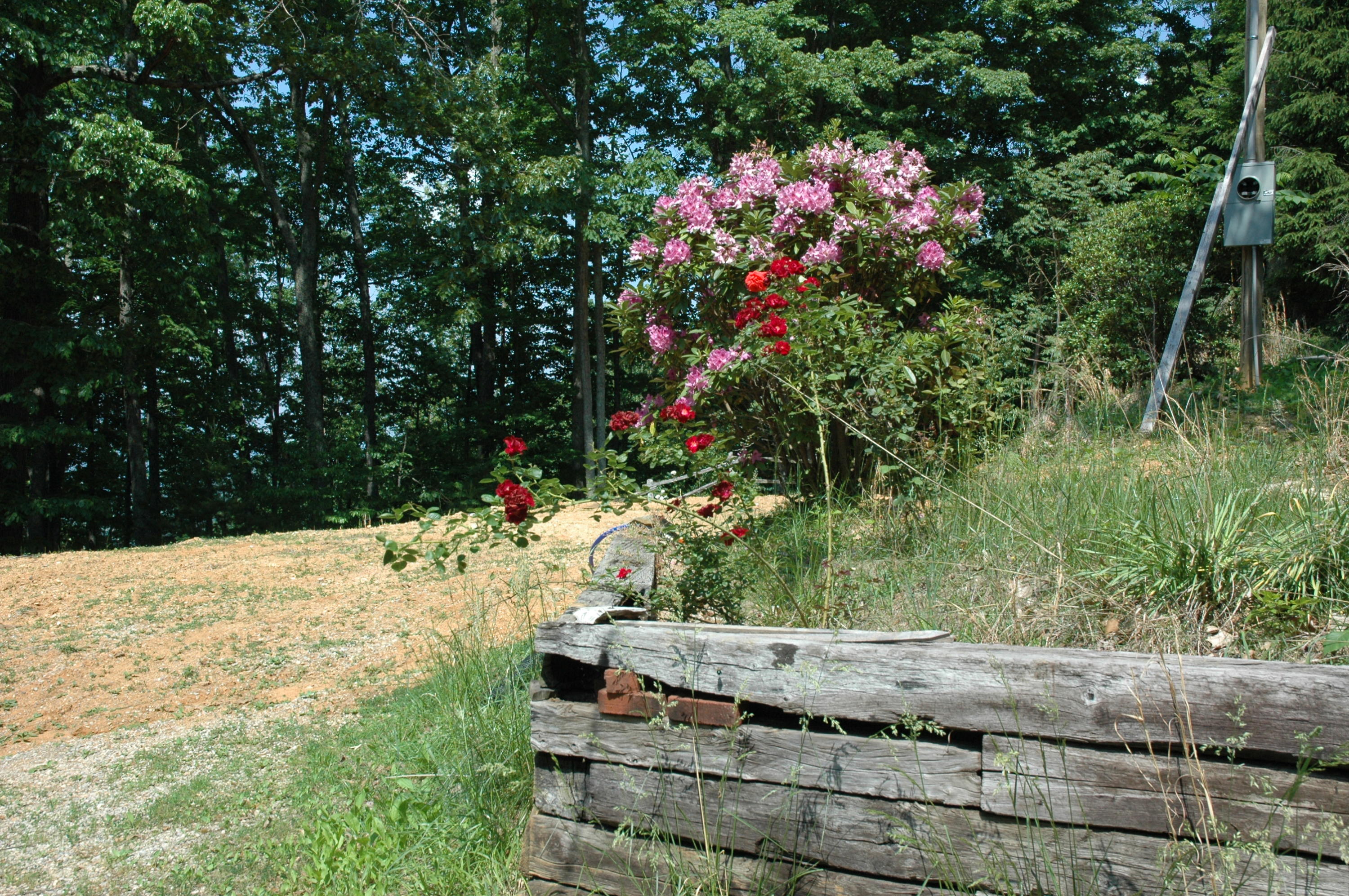 295 Proffitt Ridge Road Mooresburg, TN 37811 - Photo 14 of 16 DSC_0014