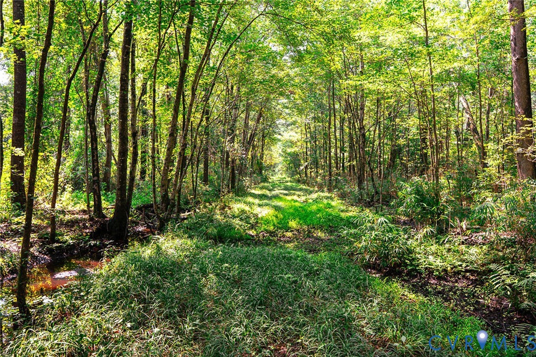 663.8-acres Peach Road Chesapeake, VA 23321 - Photo 22 of 46 Gallery Image 22