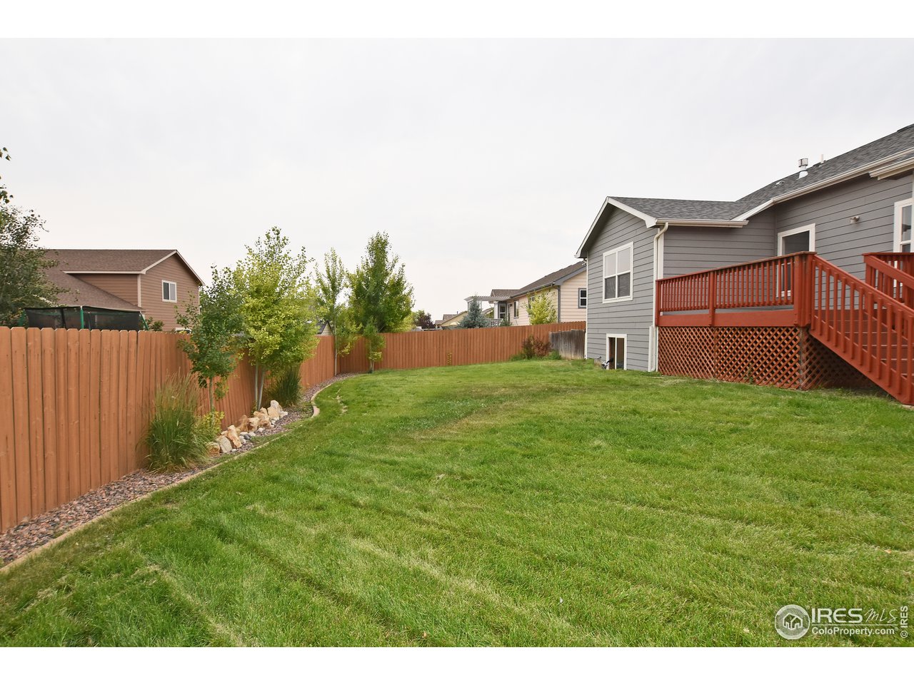 924 Cliffrose Way Severance, CO 80550 - Photo 5 of 40 a view of a house with a big yard potted plants and wooden fence