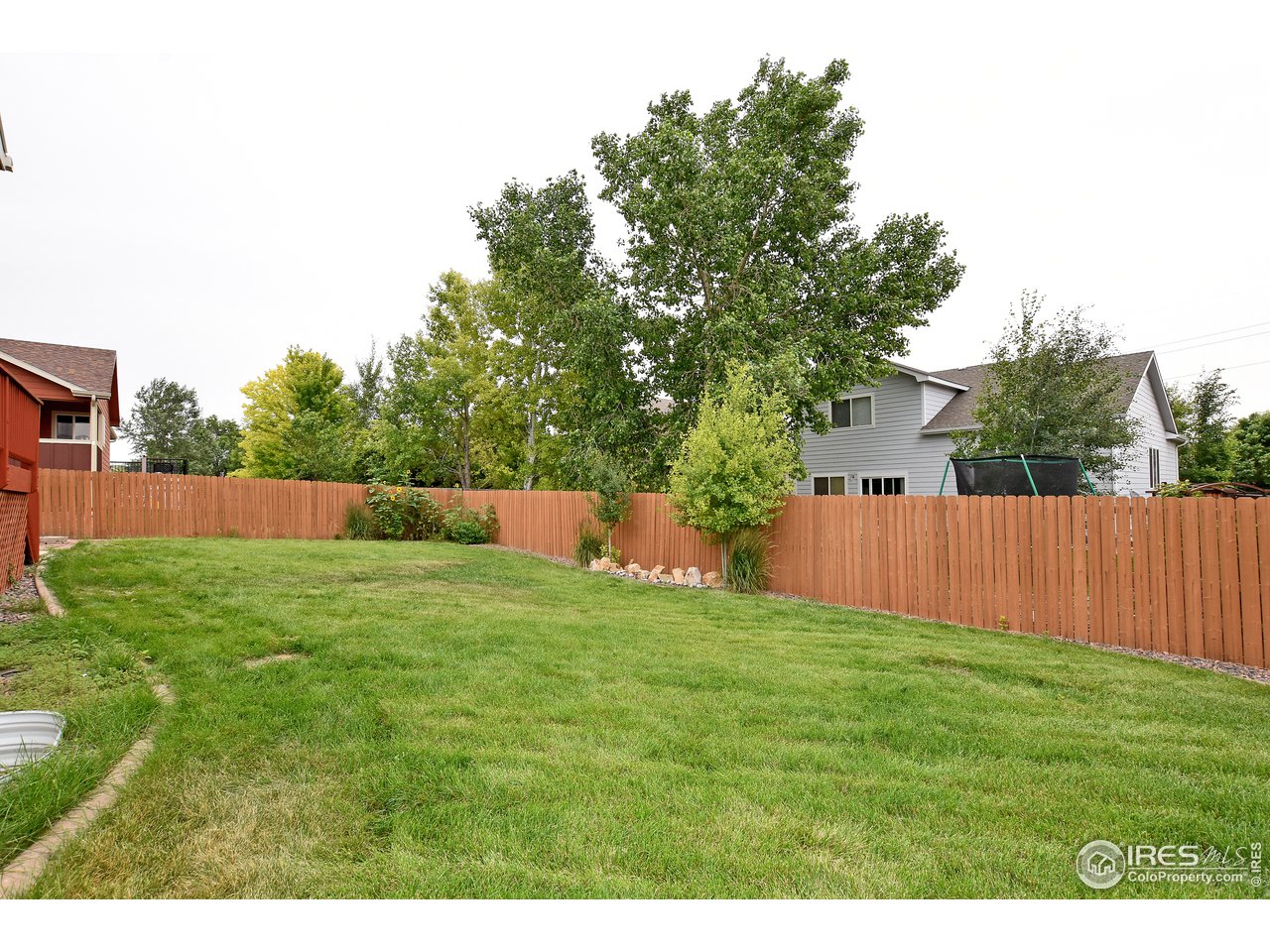 924 Cliffrose Way Severance, CO 80550 - Photo 7 of 40 a view of a back yard