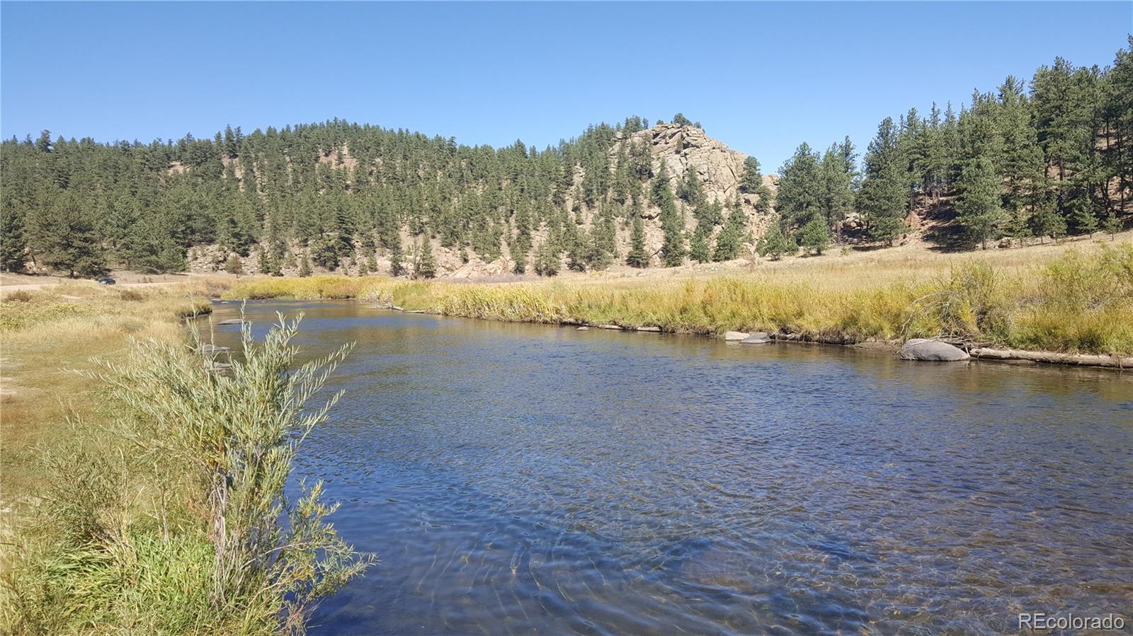 a view of mountain with trees in background