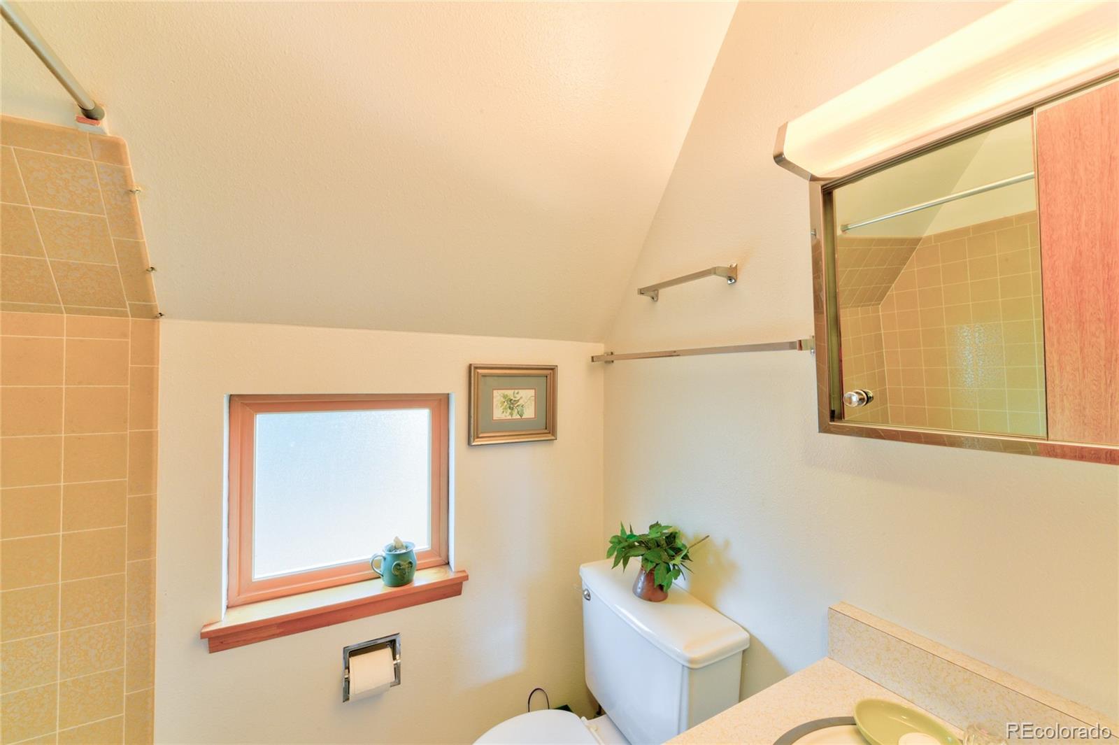 202 East Platte Road Lake George, CO 80827 - Photo 23 of 34 a bathroom with a toilet sink and mirror