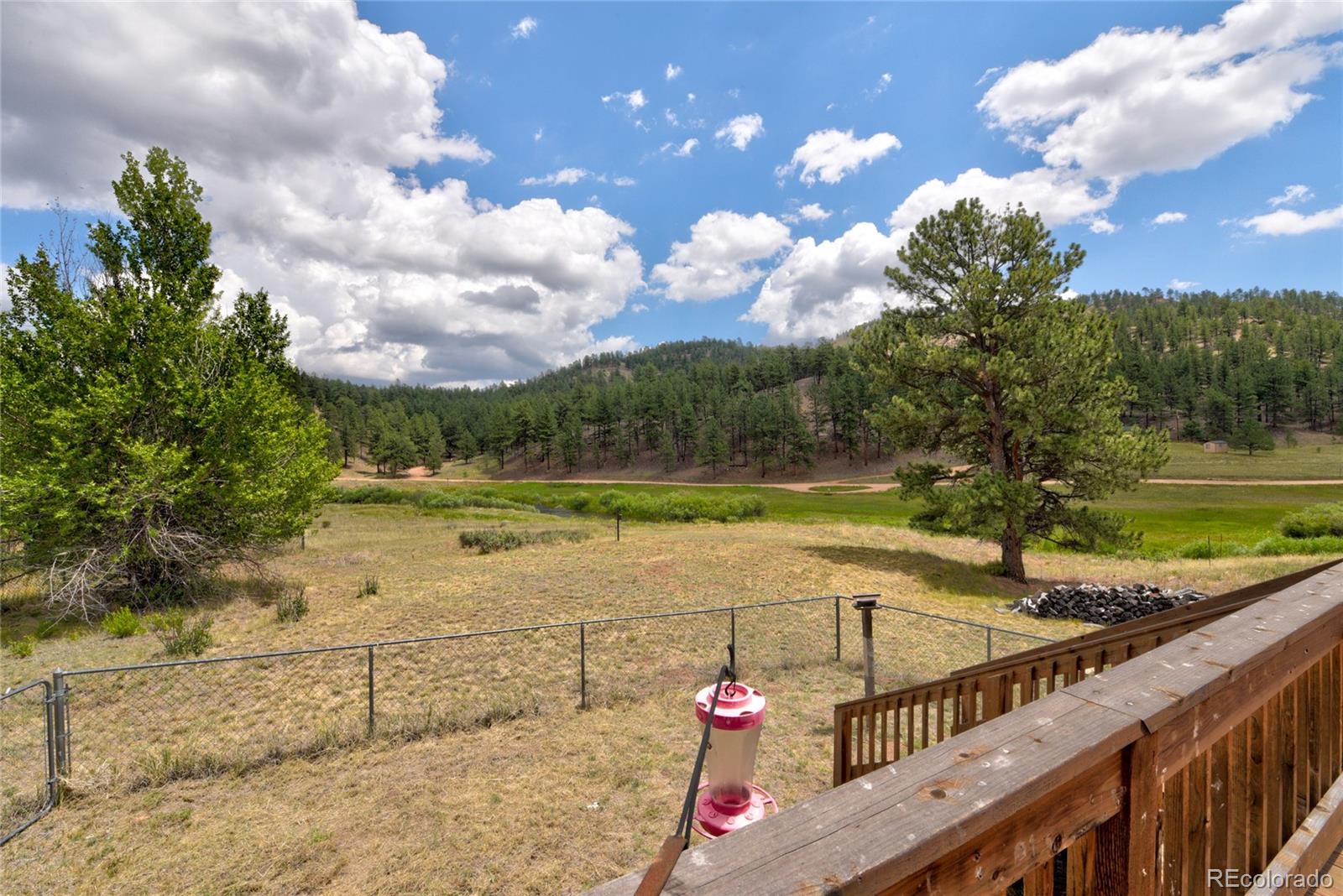 202 East Platte Road Lake George, CO 80827 - Photo 27 of 34 a view of a balcony with a yard